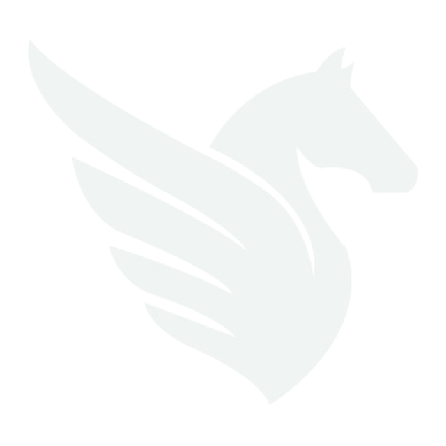 Tulpar winged horse logo