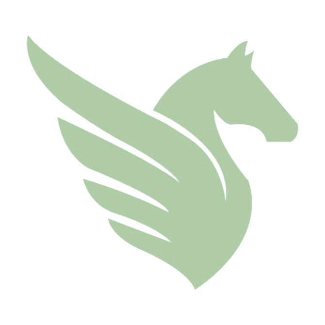 Tulpar winged horse logo